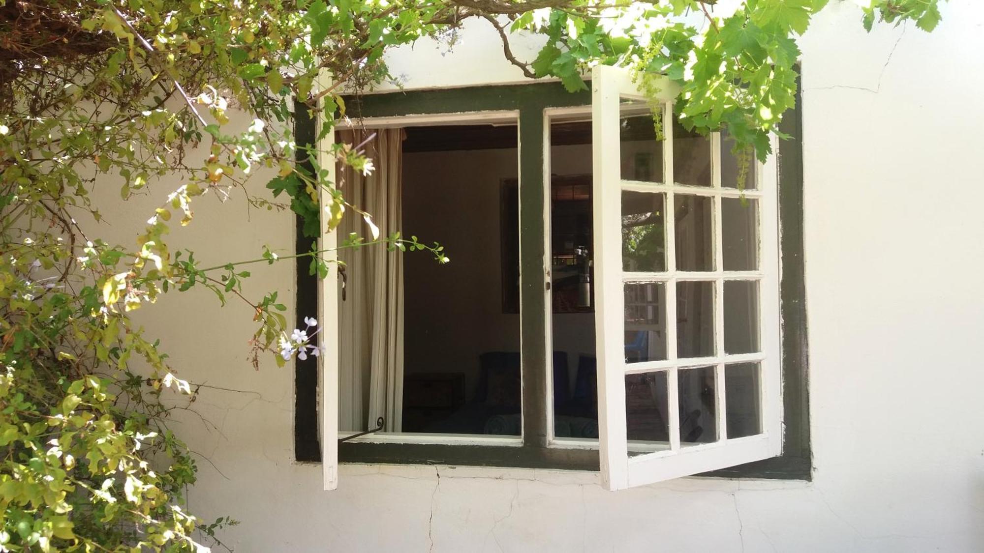 Villa Alpha Excelsior Guest Farm Clanwilliam Zimmer foto