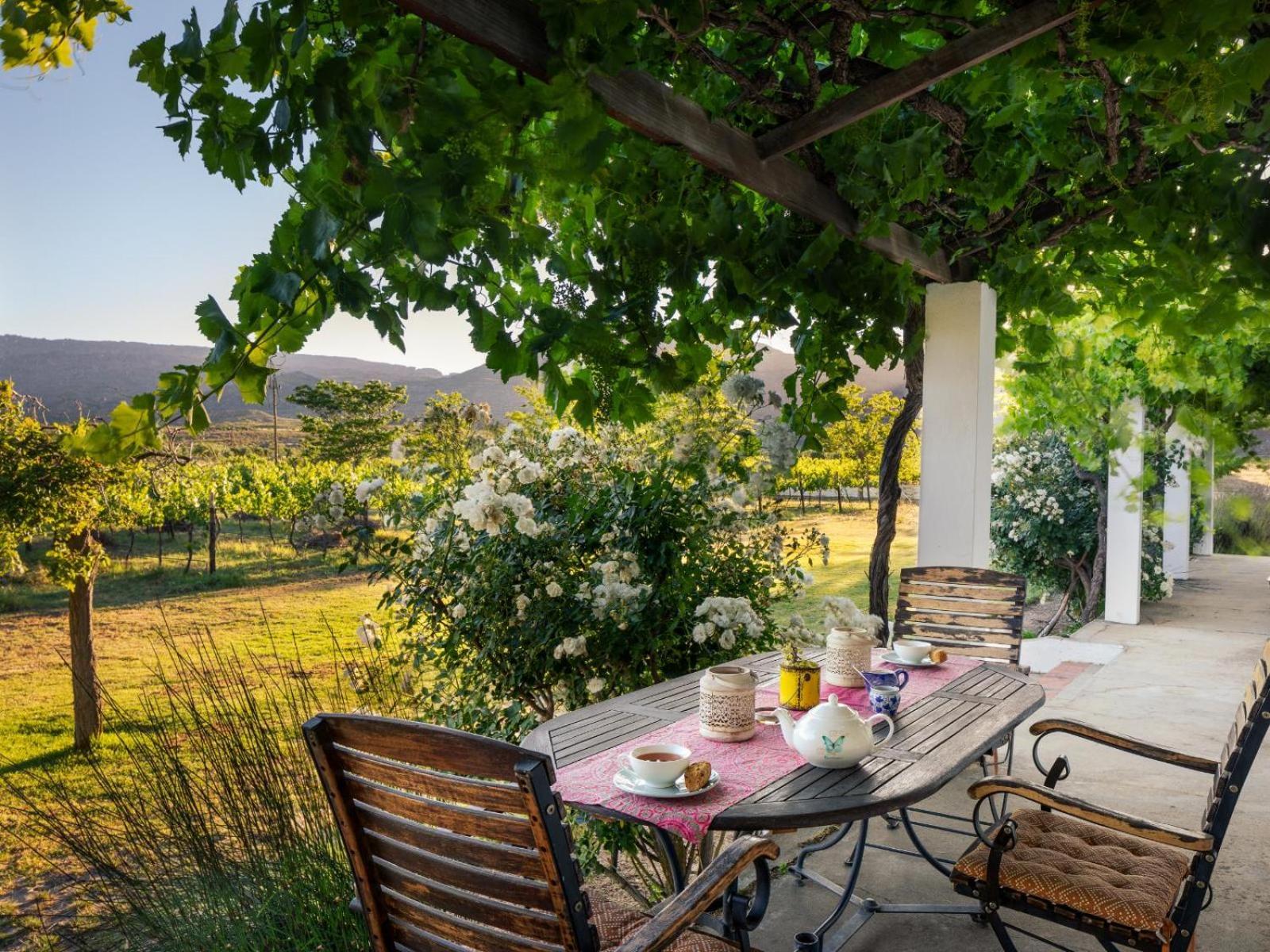 Villa Alpha Excelsior Guest Farm Clanwilliam Zimmer foto